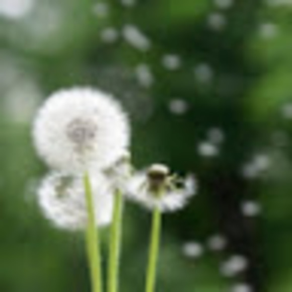 Meet your Posher, Abi - Picture 1 of 1